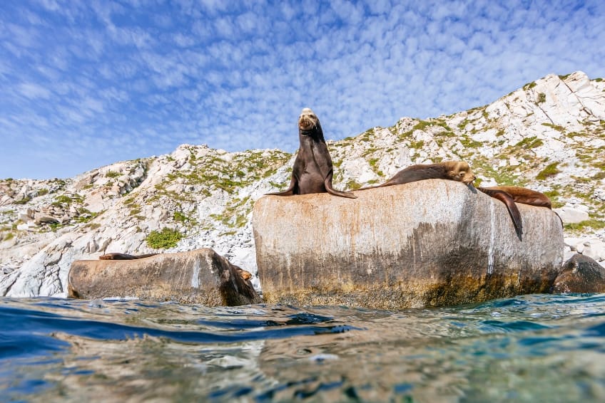 Explore Cabo Pulmo National Park