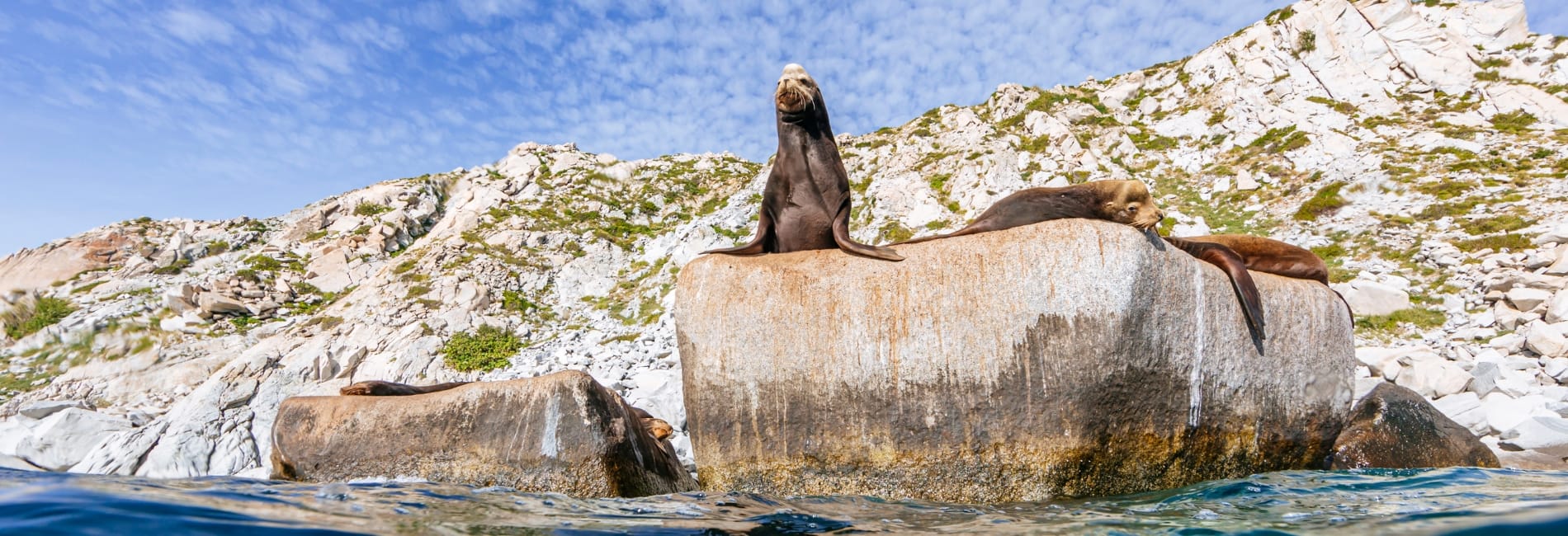Explore Cabo Pulmo National Park