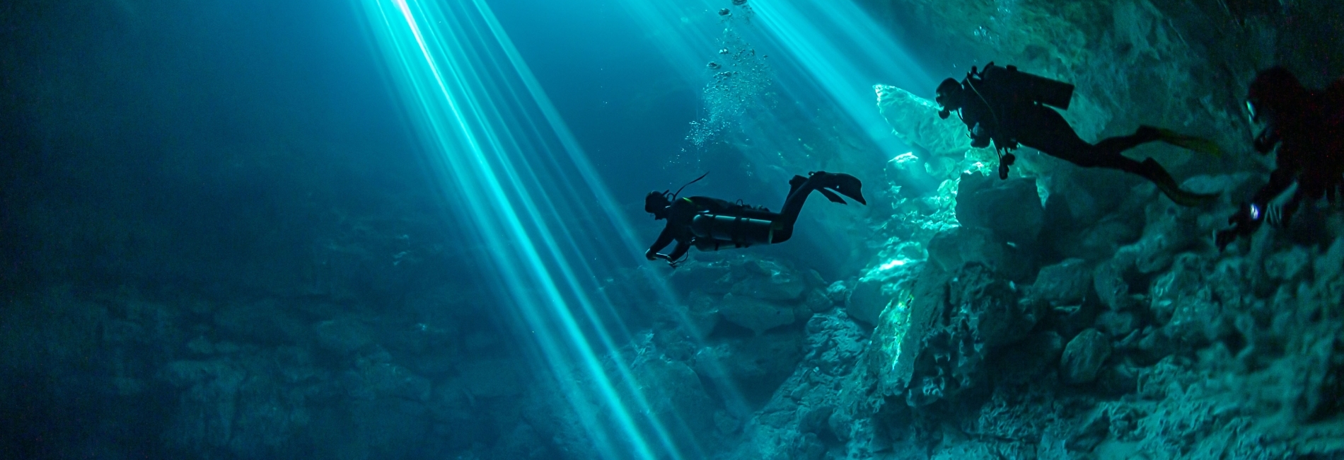 Cenote Diving as a Day Trip from Cozumel