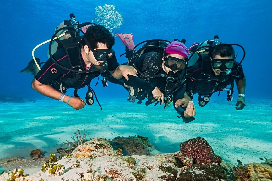 Discover Dive
