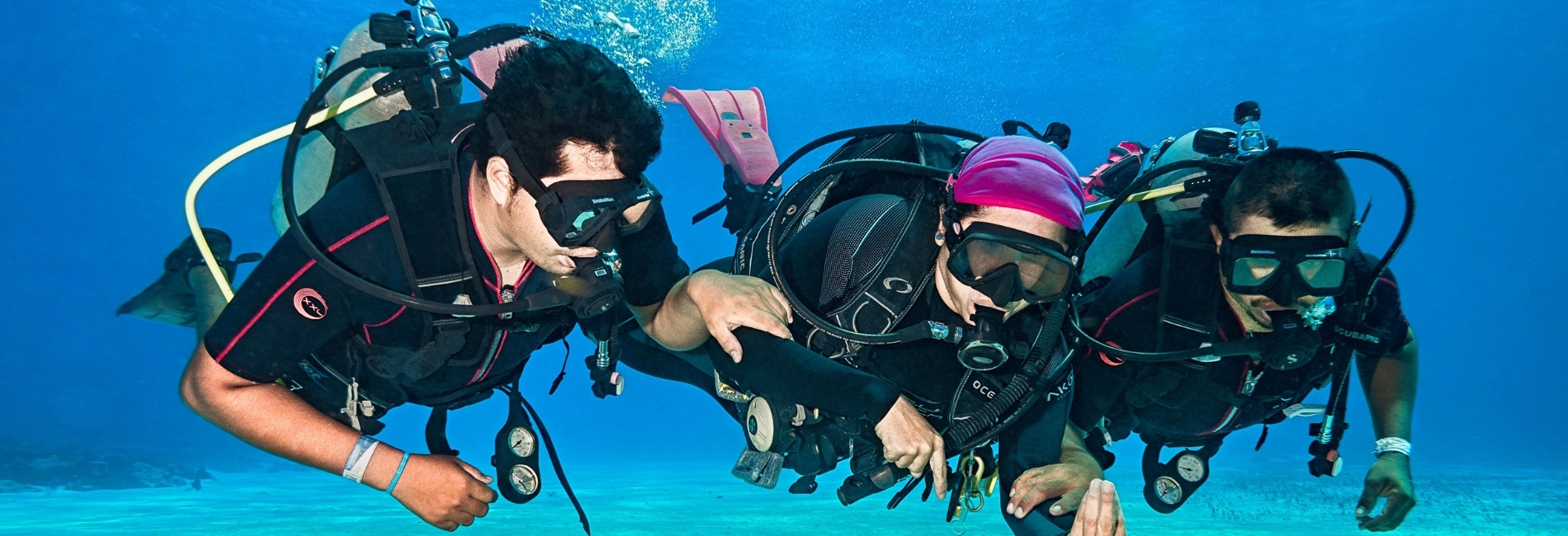 Discover Dive